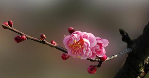 避暑