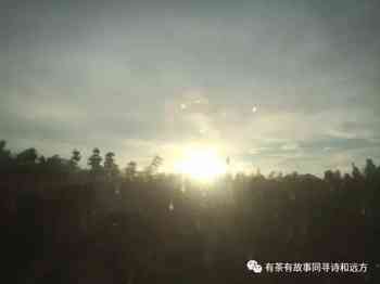 做水果沙拉